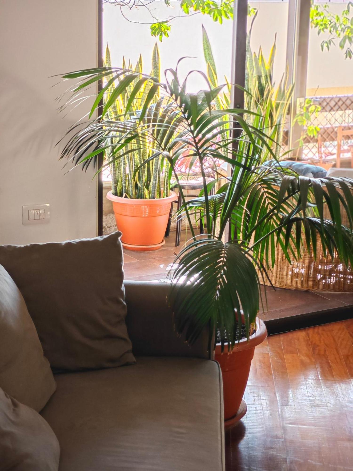 Bed and Breakfast Casa Compartida Weyler Санта-Крус-де-Тенеріфе Екстер'єр фото